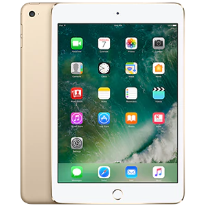 iPad 5 9.7 (2017) (A1822 | A1823)